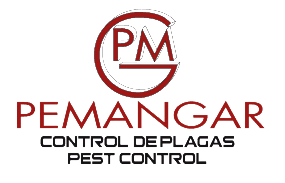 PEMANGAR