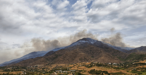 El hospital Quirónsalud Marbella realiza una donación para atender a los animales afectados por el incendio en Sierra Bermeja