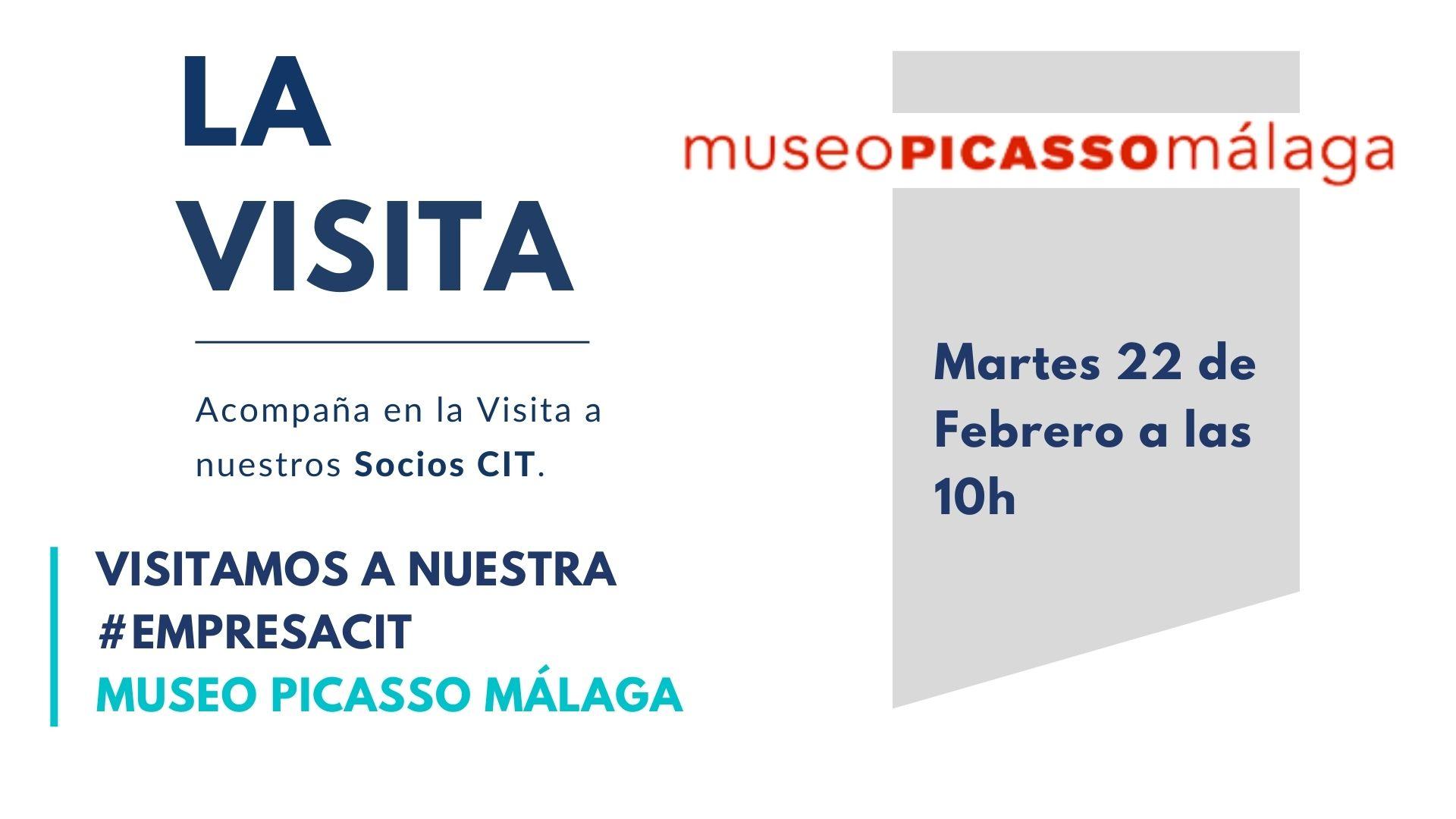 La visita con Museo Picasso Málaga
