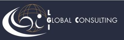 LGI GLOBAL CONSULTING